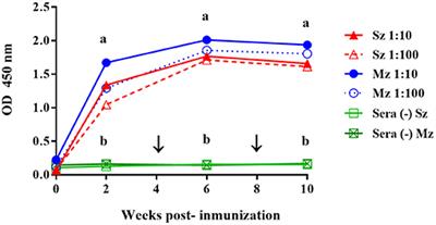 Immunotherapy With Egg Yolk Eimeria sp.-Specific Immunoglobulins in SPF Leghorn Chicks Elicits Successful Protection Against Eimeria tenella Infection